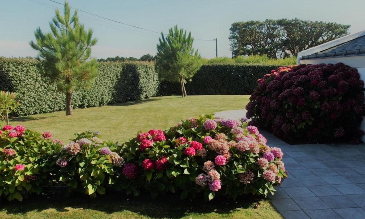 Maison Accueillante A Bangor Avec Jardin Clos Et Cheminee Esterno foto